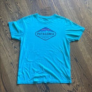 Patagonia Teal Graphic Tee